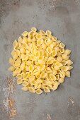 A pile of conchiglie rigate pasta