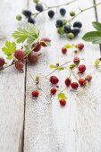 A sprig of gooseberries, a sprig of blueberries and wild strawberries on a wooden board