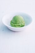 Basil sorbet with lemon