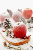 Christmas decorations with red apples, rose hips, pine cones and icing sugar