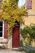 Rustikale Fassade eines Landhauses teilweise mit Kletterpflanzen berankt, Haustür und Fensterläden rotbraun gestrichen
