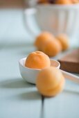 Apricots with a porcelain spoon