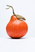 A Hokkaido pumpkin on a white surface