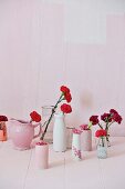 Rote Nelken in verschiedenen Vasen, vor rosa Hintergrund