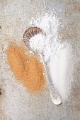 A spoon and various types of sugar (white sugar, brown sugar and icing sugar)