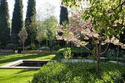 Pool in well-tended lawn with various trees and raised beds