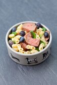 Pasta, meat and blueberries in a dog bowl