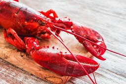 Cooked lobster on a chopping board (detail)