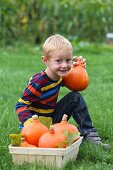 A blond boy in a field with pumpkins