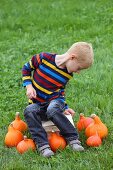 A blond boy in a field with pumpkins