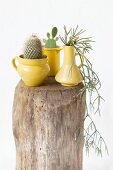 Vintage-style arrangement of yellow jugs and cacti on wooden block