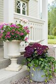 Urn and bucket of flowers outside Swedish house