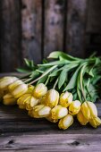 Yellow tulips on wooden surface