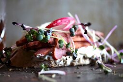 A pastrami, cress and radish sandwich
