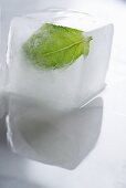 A basil leaf frozen in an ice cube