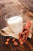 Hazelnuts and a glass of hazelnut milk