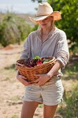 A woman carrying a basket of cherries in an orchard