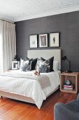 Hund auf Doppelbett mit Dekokissen und schwarze Tapete in modernem Schlafzimmer mit Stuckdecke