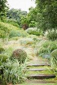 Wet stone steps in mature garden with ornamental grasses and shrubs