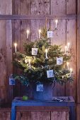 A small Christmas tree decorated with photos of apples and candles