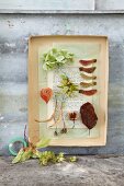 Natural treasures arranged as a picture