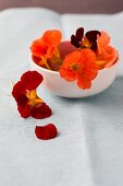 Edible nasturtium flowers
