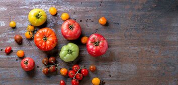 Verschiedene Tomatensorten auf Metalluntergrund (Draufsicht)