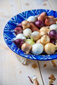 Various different coloured onions in blue ceramic bowl