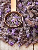 Lavender flowers with a measuring cup