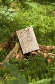 Map and reading glasses on old tree stump in woods