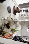 Bowls of vegetables on worksurface below bracket shelves crammed with utensils below hunting trophy in vintage-style kitchen