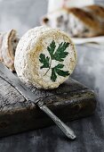 Camembert with parsley