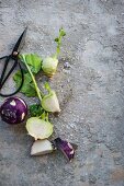 Green and purple kohlrabi on a stone surface
