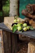 Mini apples and a paper bag on a wooden bench in a garden