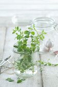 Fresh oregano in a jar on a wooden surface