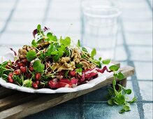 Herbstlicher Salat mit Radicchio, Walnüssen und Granatapfelkernen