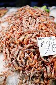 Scampi auf Fischmarkt in Venedig