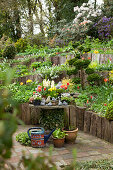 Blumentöpfe auf rustikalem Tisch und blühende Blumen in terrassierten Beeten im Garten
