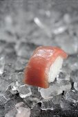Nigiri sushi with tuna fish on ice