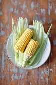 Fresh corn cobs on a plate