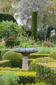 Birdbath on plinth in topiary garden