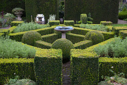 Clipped box hedges in various geometric forms