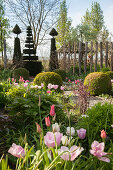 Geometrische und figürliche Formschnitte in 'Tuinzondernaam' Gartenanlage mit pastellfarbenen Tulpensorten
