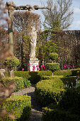 Geometric, clipped box hedges, stone statue and tulips in front of hornbeam hedge