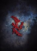 Redcurrants on a metal surface