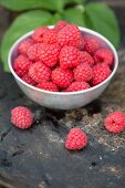 Fresh raspberries in a white porcelain bowl