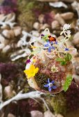 Langoustine and veal fillet tatar, caviar and flowers by Tohru Nakamura from Geisels Werneckhof in Munich