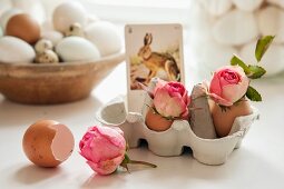 Roses in eggshells and vintage playing card with picture of hare arranged in eggbox