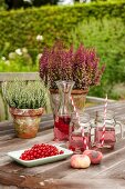 Drinks and redcurrants in front of potted heather on garden table
