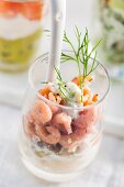Shrimps on white asparagus in a glass